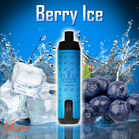 Al Fakher 15000 berry ice