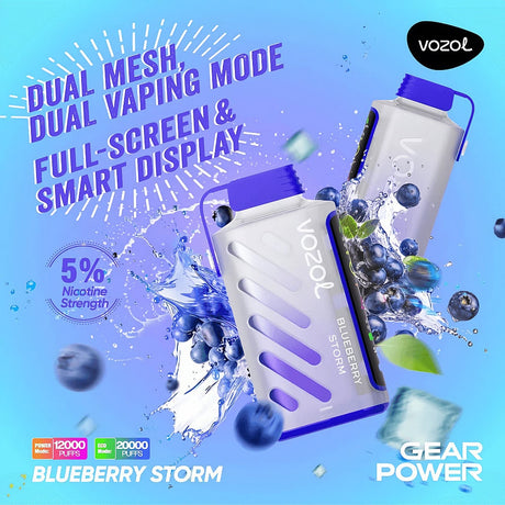 Vozol Gear Power 20000 blueberry storm